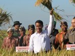 menteri-pertanian-amran-sulaiman_20150415_131904.jpg