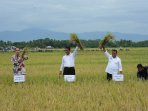 menteri-pertanian-amran-sulaiman_20150428_154311.jpg