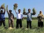 menteri-pertanian-amran-sulaiman_20150626_094650.jpg