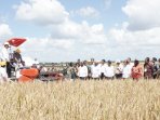 menteri-pertanian-dampingi-presiden-panen-raya-di-merauke_20150519_105410.jpg