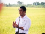 menteri-pertanian-panen-raya-padi-di-demak_20150225_153352.jpg