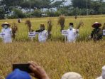 menteri-pertanian-potong-padi-di-aceh-besar_20200930_180231.jpg