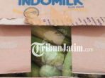 mentimun-isi-sabu_20180827_200852.jpg