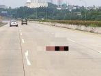 meregang-nyawa-usai-nekat-menyeberang-di-jalan-tol-cijago.jpg