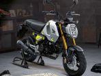minibike-honda-msx-125-grom-2021.jpg