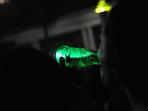 minum-bir-heineken-4_20141105_020327.jpg