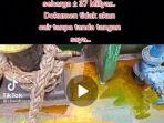 minyak-goreng-tumpah-ke-laut-viral.jpg