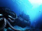 misteri-bawah-laut.jpg