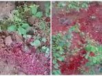 misteri-cairan-merah-mirip-darah-keluar-dari-dalam-tanah-ahli-sebut-ini-masih-menjadi-pertanyaaan.jpg