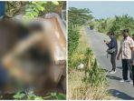 misteri-penemuan-jasad-perempuan-muda-dalam-kardus-di-demak-ada-bagian-tubuh-sudah-jadi-kerangka.jpg