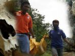 misteri-penemuan-tengkorak-di-gunung-budheg-tulungagung_20180104_090522.jpg