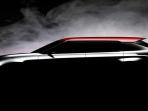 mitsubishi-grand-touere-concept_20160629_095655.jpg