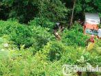 mobil-box-milik-pt-kantor-pos-ternjun-ke-jurang-di-jalan-raya-ponjuk-pamekasan-madura.jpg