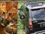 mobil-nyungsep-ke-sawah-karena-pengemudinya-panik-burung-peliharaannya-hendak-dimangsa-kucing_20180226_165139.jpg