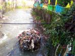 mobil-terdampar-di-sungai-citepus_20161110_102322.jpg