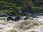 mobil-terseret-arus-banjir_20171030_092737.jpg