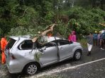 mobil-tertimpa-pohon-tumbang-di-jalan-raden-maulana-bdr-lampung_20220119_191850.jpg
