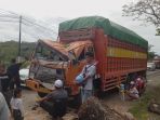mobil-truk-tertimpa-pohon_20171016_111529.jpg