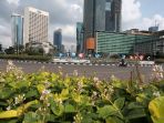 mobilitas-warga-ibu-kota-turun-saat-ppkm-darurat_20210711_201517.jpg