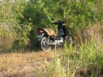 mojok-semak2_20141221_165233.jpg