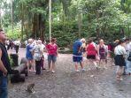 monkey-forest-ubud-sebelum-covid-19_1.jpg