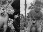 monyet-diburu-dengan-gigitan-anjing-dicincang-dimasak.jpg