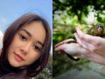 monyet-jempol-dan-aura-kasih.jpg