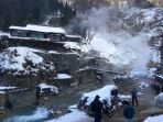 monyet_20180123_153016.jpg