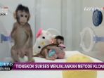 monyet_20180126_140514.jpg