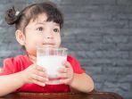 Ramai Anjuran Kepala BGN Minum Susu 2 Liter Sehari, Berapa Takaran yang Tepat? Ini Kata Dokter Anak