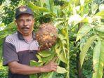 mujiono-56-petani-porang-dari-desa-durenan.jpg