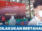mulai-14-desember-vaksinasi-anak-usia-6-11-tahun-pakai-sinovac.jpg