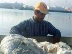 muntahan-ikan-paus_20161116_131549_20161117_093555.jpg