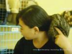 musang_20160509_010518.jpg