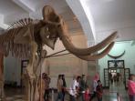 museum-geologi_20150711_072628.jpg