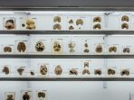 museum-otak_20181011_210607.jpg