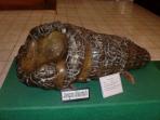 museum-riau_20151117_215224.jpg