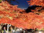 musim-gugur-di-isehara-kanagawa-jepang.jpg