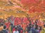 musim-gugur_20180921_142735.jpg