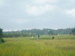 musim-kemarau-ekstrim-atau-elnino-diperkirakan-akan-mencapai-puncaknya-agustus-mendatang.jpg