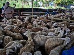 muslim-singapura-sumbang-774-hewan-qurban-perayaan-idul-adha-143_20160914_131220.jpg