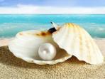 mutiara_20160823_052440.jpg