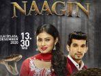 naagin-9324.jpg
