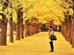 nami-island-korea-selatan.jpg