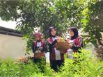 Melihat Panen Gingseng Hasil Budidaya Warga Binaan di Lapas Tangerang, Dukung Ketahanan Pangan