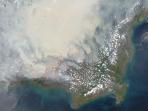 nasa-kalimantan_20151111_151631.jpg