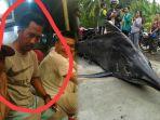 nelayan-pangandaran-tewas-tertusuk-moncong-ikan-caroang.jpg