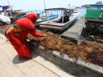 nelayan-rumput-laut-kepulauan-seribu_20190918_141141.jpg