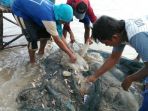 nelayan_20180804_202116.jpg