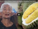 nenek-92-tahun-di-tobasa-dihukum-penjara-hanya-karena-menebang-pohon-durian_20180129_170419.jpg